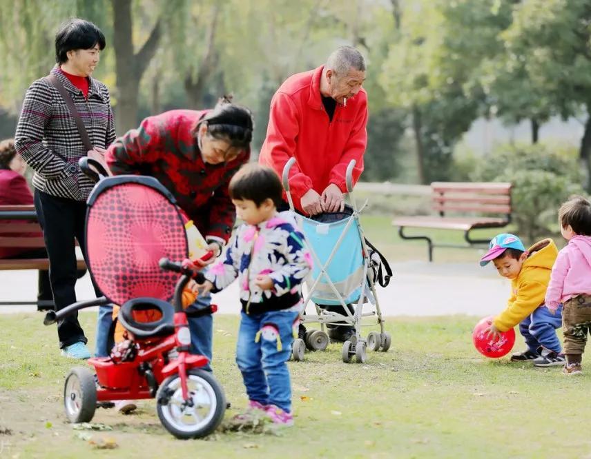 孫子與外孫同時(shí)出世，我選擇了幫忙帶外孫，從此沒(méi)人叫我奶奶-圖3